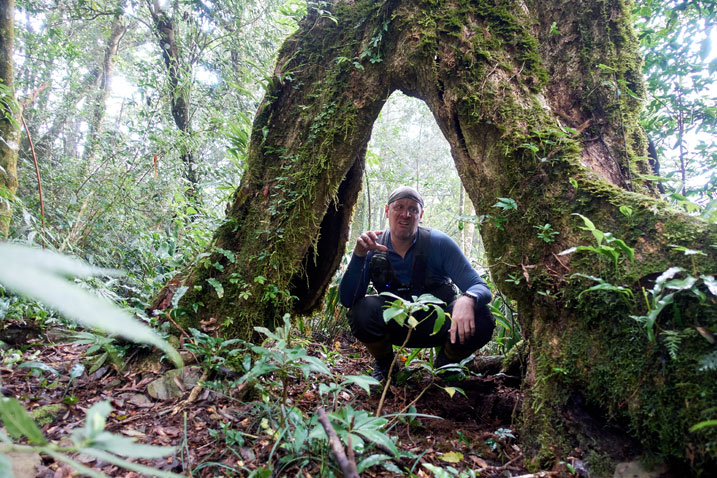 Man standing inside tree - making stupid face