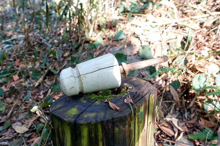 Piece from the top of a telephone pole on log - ZuMuShan 足母山 