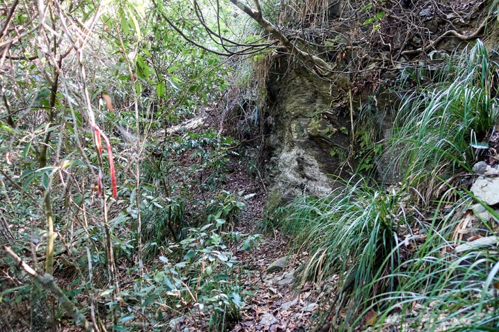 Mountain trail - trees on either side - rocky right side - ZuMuShan 足母山