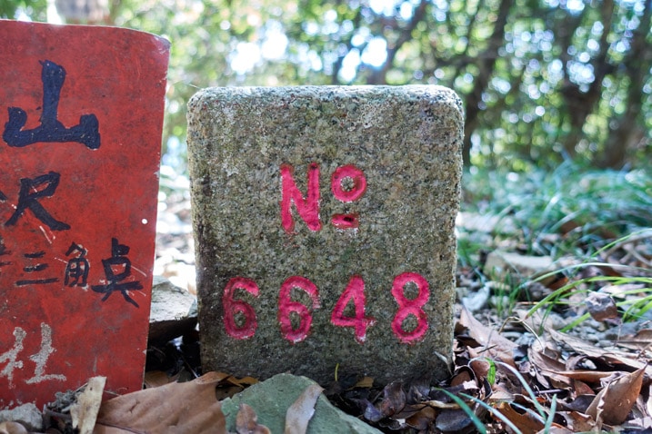 Triangulation stone at XinZhiShan - 新置山 Peak - No. 6648