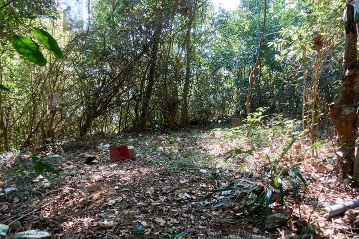 Open area with two stone markers and sign - XinZhiShan - 新置山 Peak
