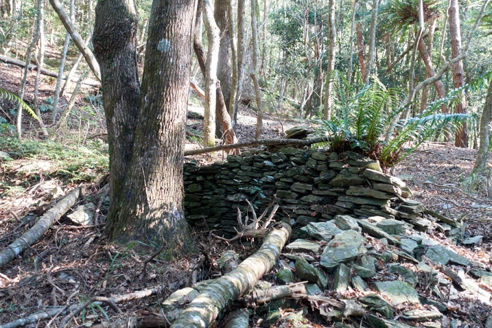 Rocks stacked as a foundation for a traditional style aboriginal structure